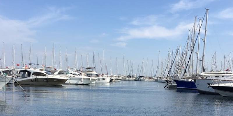 pendik